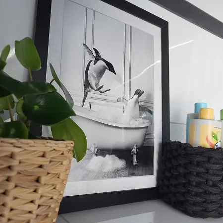 Lovingly Designed Apartment