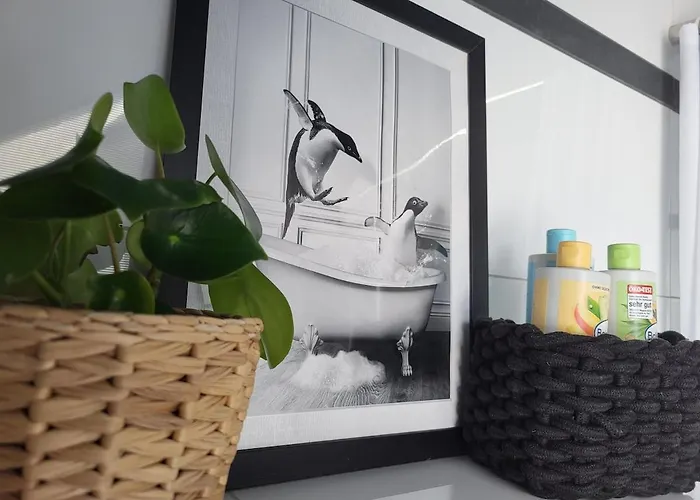 Lovingly Designed Apartment